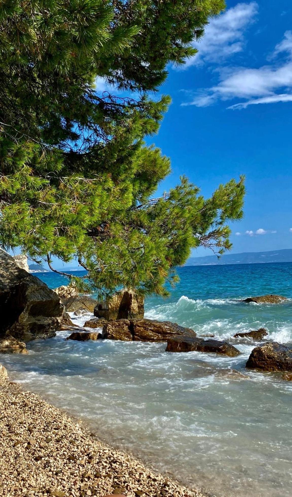 Apartman Branka *** Split Dış mekan fotoğraf